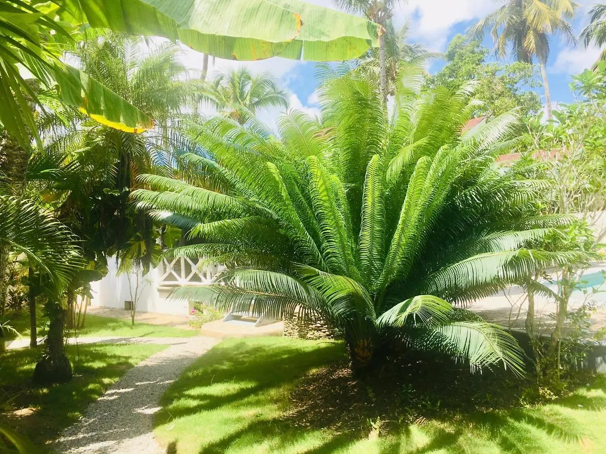 Villa Mariposa Las Terrenas 0*,
